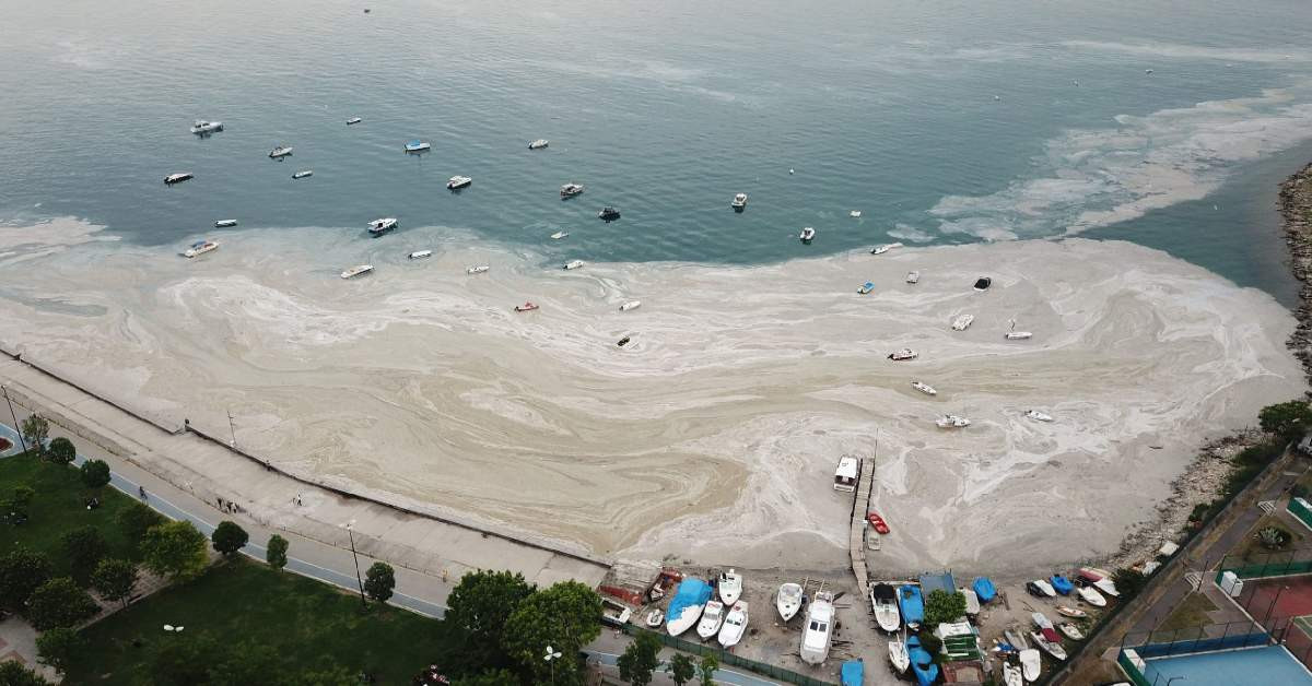Bakan Kurum Marmara Denizi Bakan Kurum Marmara Denizi