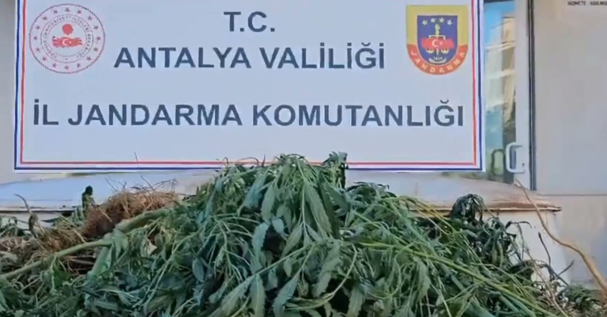 Bakan Yerlikaya duyurdu: 13 ilde uyuşturucu operasyonu! 83 şüpheli yakalandı