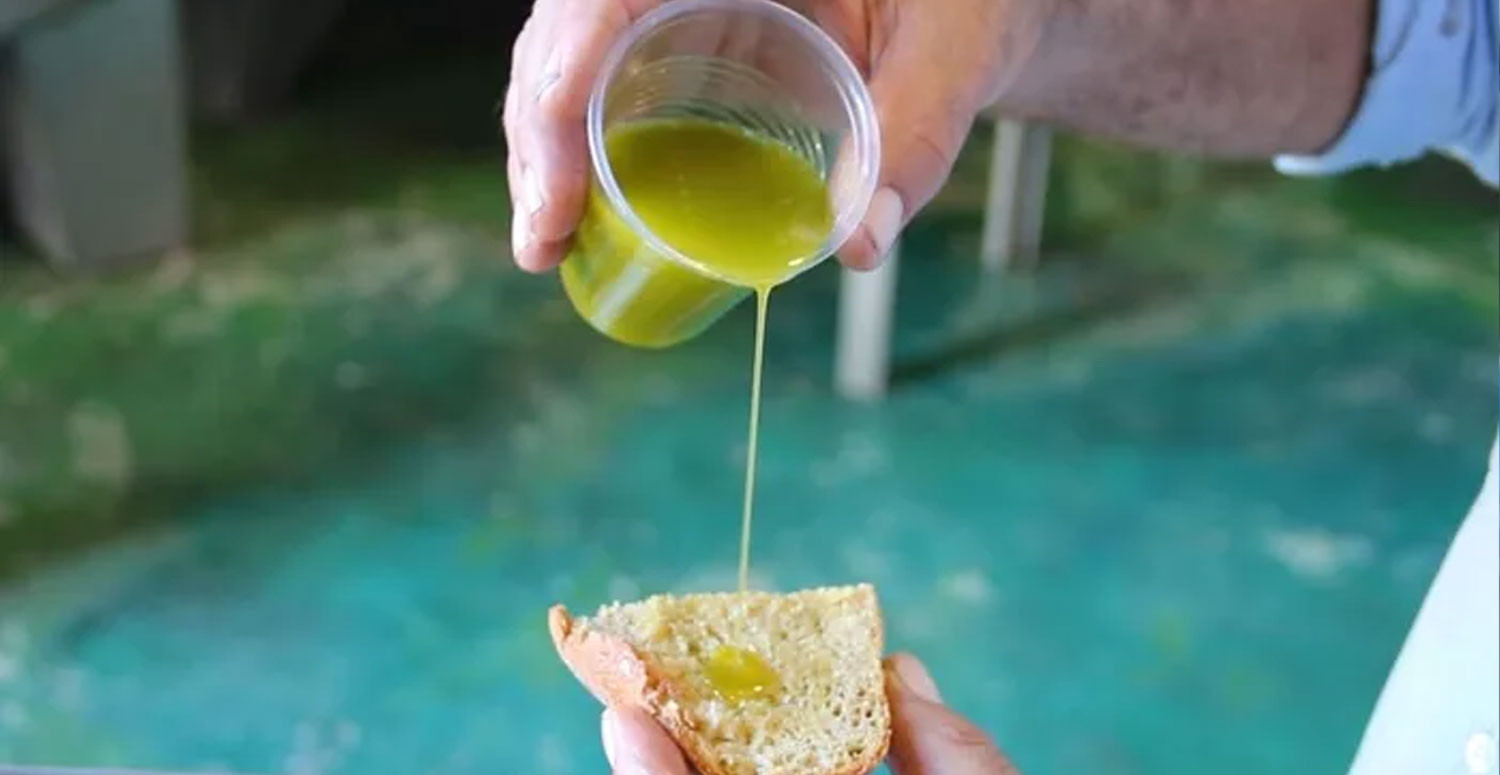 Böbrekler için birebir
