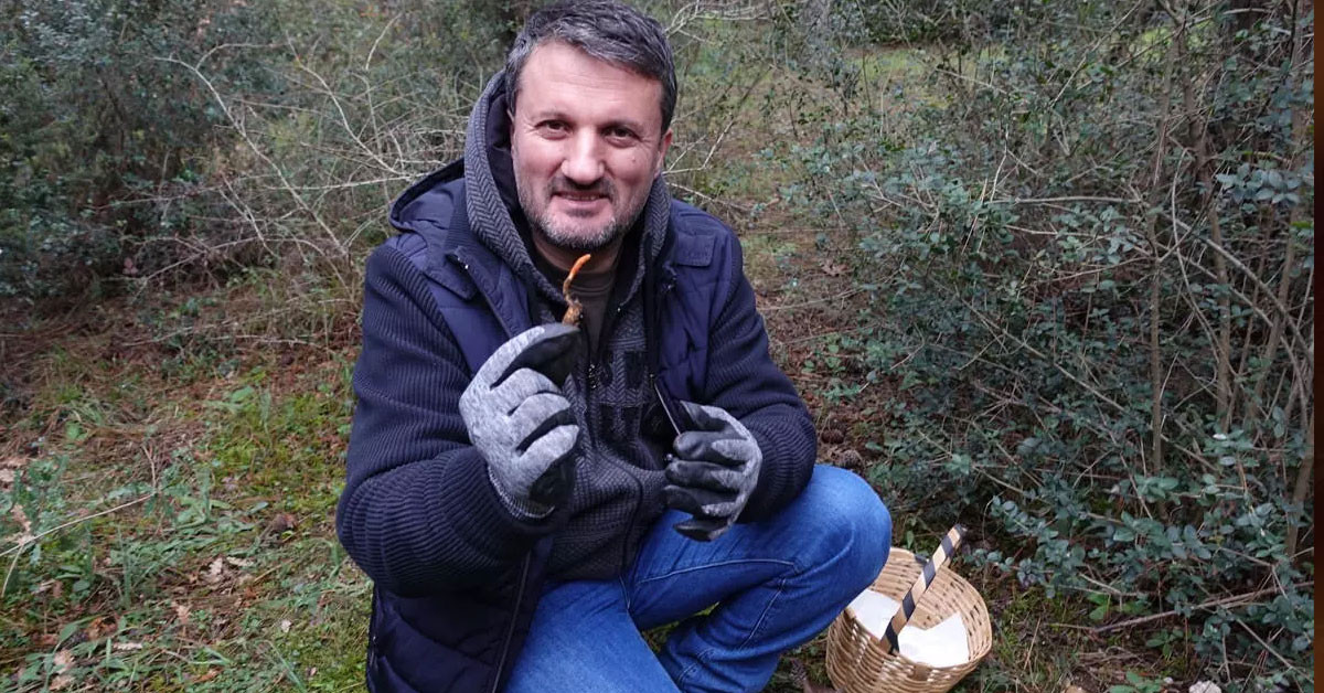Bu mantarı uzun yıllar ormanlarda aradı
