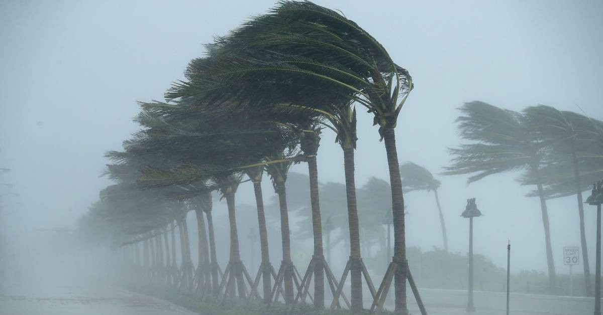 California Fırtına