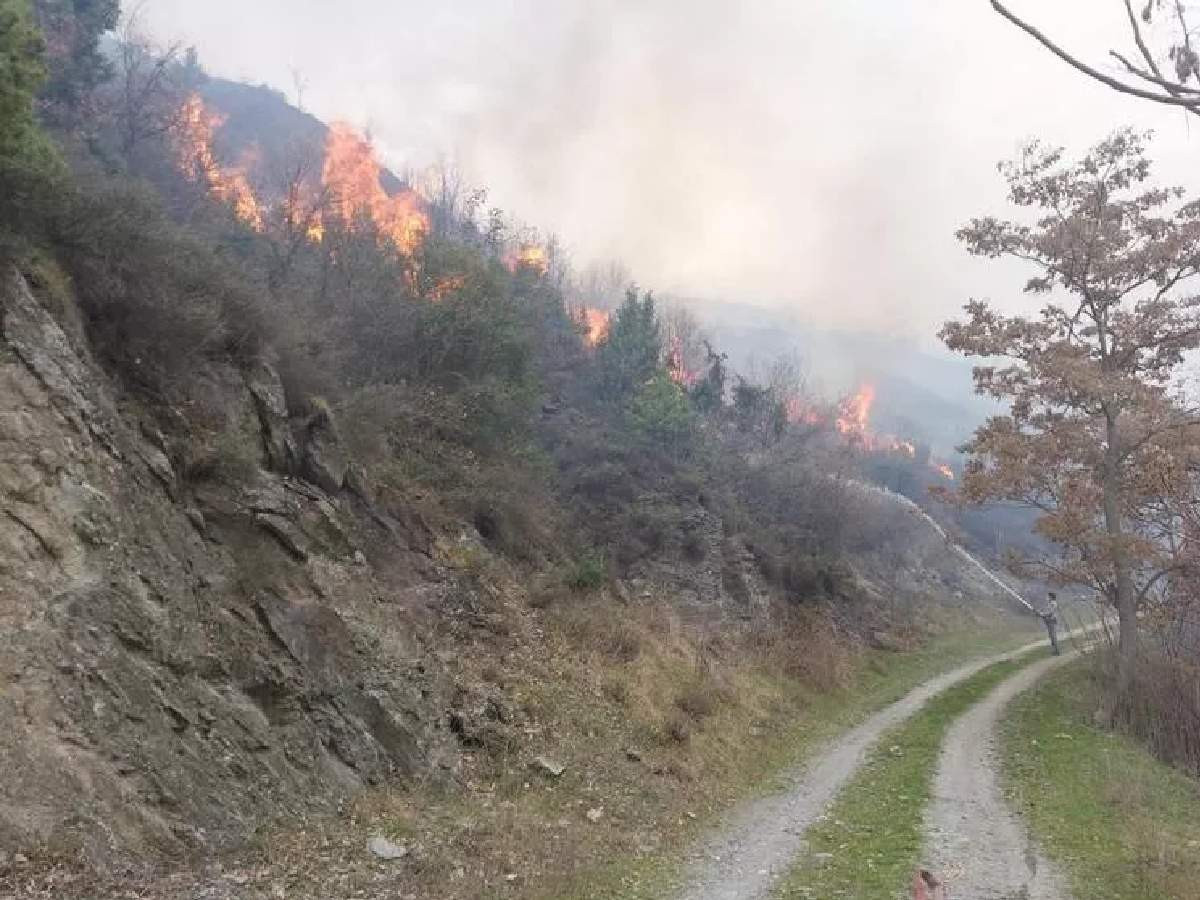 Çanakkale, İzmir, Bursa ve Bilecik orman yangını Çanakkale, İzmir, Bursa ve Bilecik orman yangını