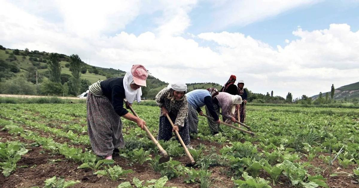 Çiftçi Kayıt Sistemi