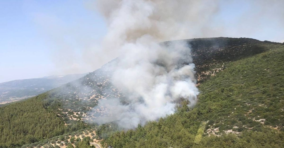 Ciğerlerimiz yanmaya devam ediyor: Bu kez Milas’ta orman yangını