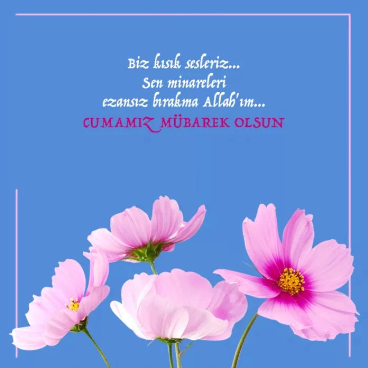 Cuma mesajları Cuma mesajları
