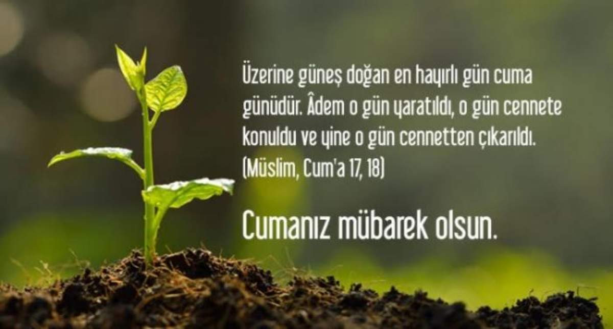 Cuma mesajları Cuma mesajları