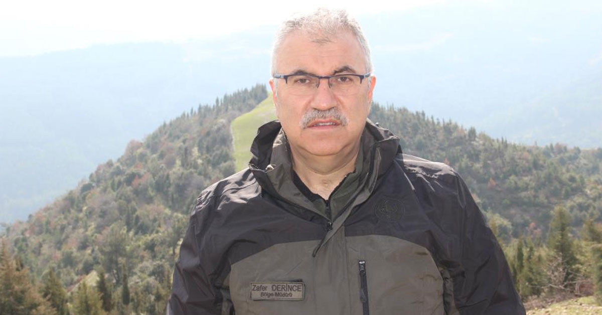 Zafer Derince Zafer Derince