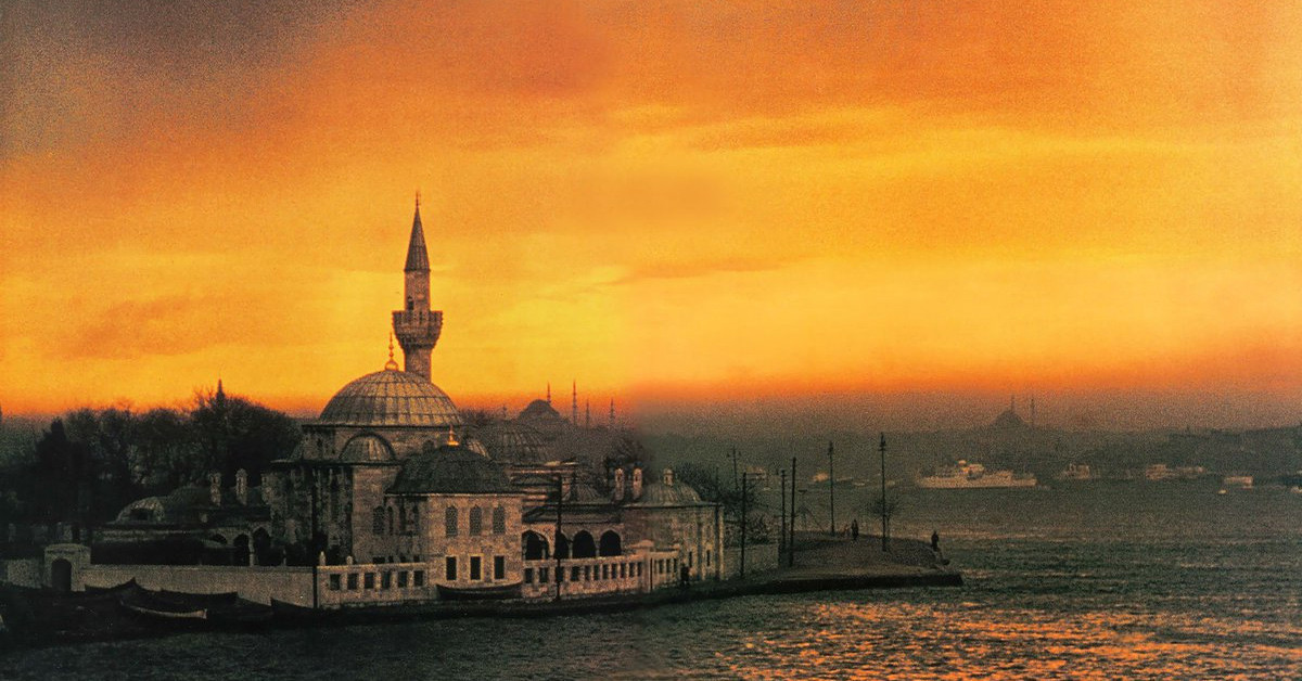 neden kuşkonmaz
