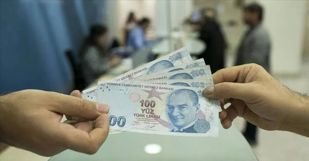 Devlet Destek Ödemesi Devlet Destek Ödemesi