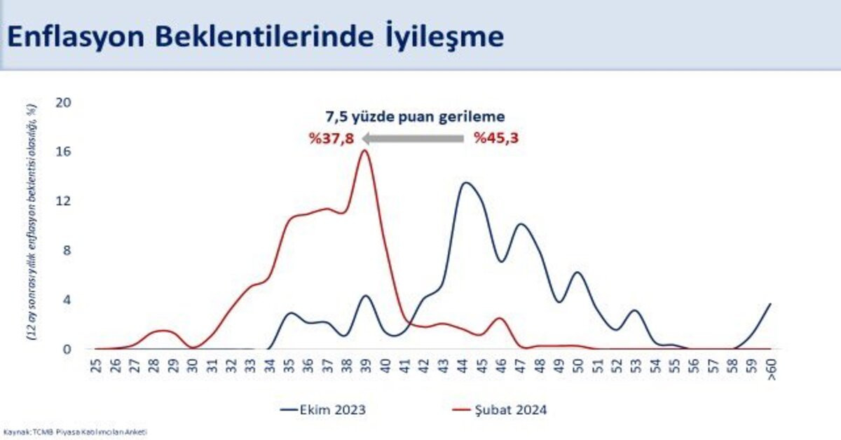 Enflasyon grafiği