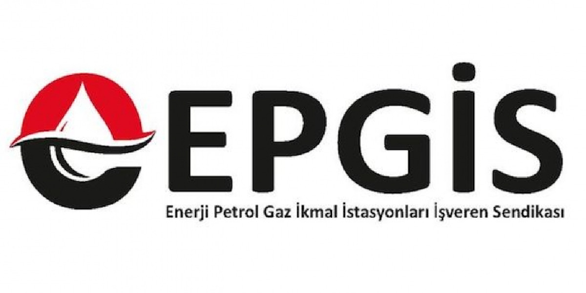 EPGİS Ne Demek