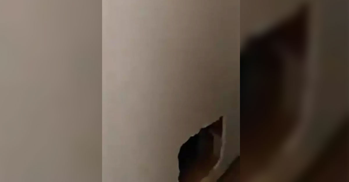 FETÖ’den aranan firari emniyet müdürü, Ş.Ü.(53) Kayseri’de kaldığı hücre evinde gizli bir geçit yaptı. Tam kaçacağı sırada polis ekipleri tarafından yakalandı.