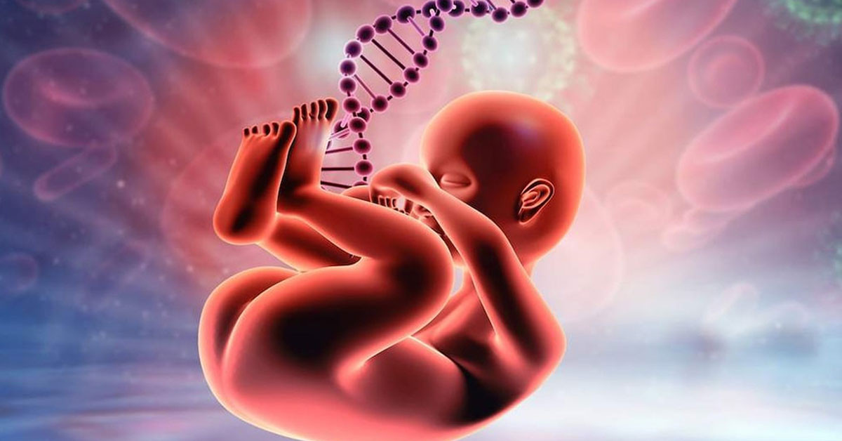 Genetik kalıtım Genetik kalıtım