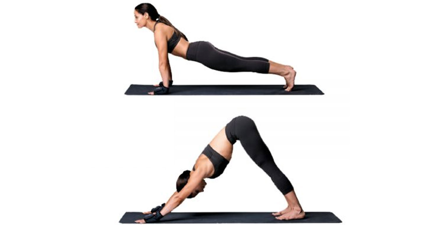 Plank to Downward Dog Plank to Downward Dog