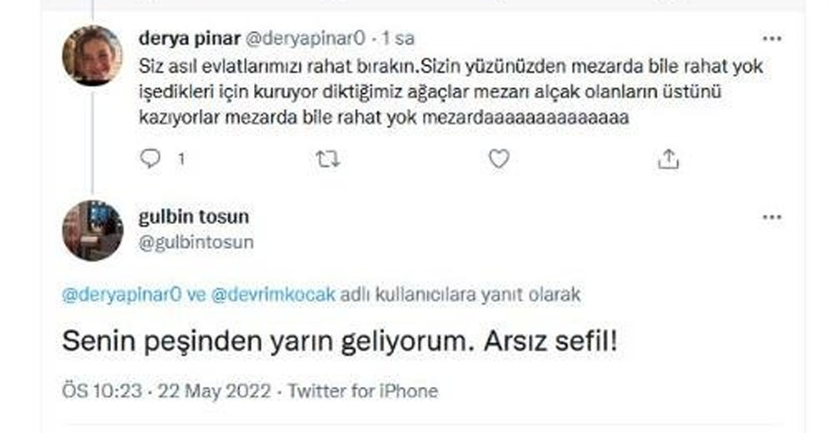 Gülbin Tosun