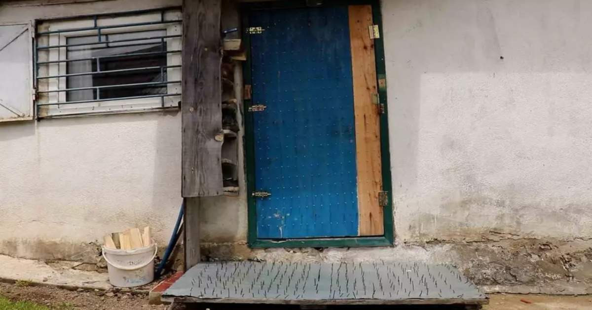 Gümüşhane Ayı-1