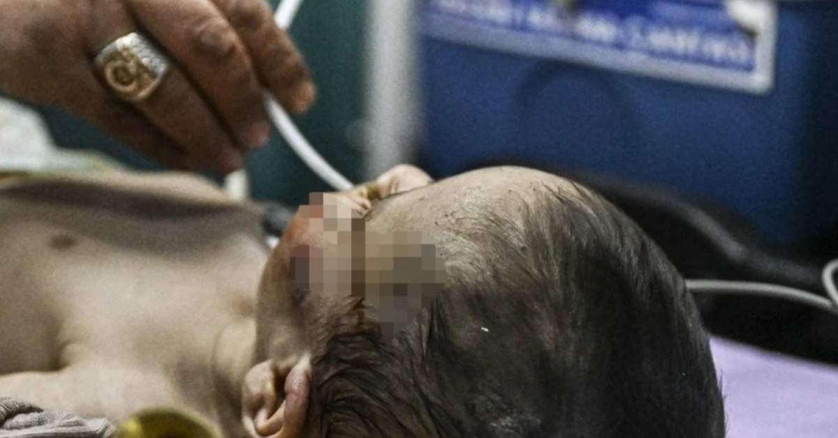Hamza Bebek Deprem
