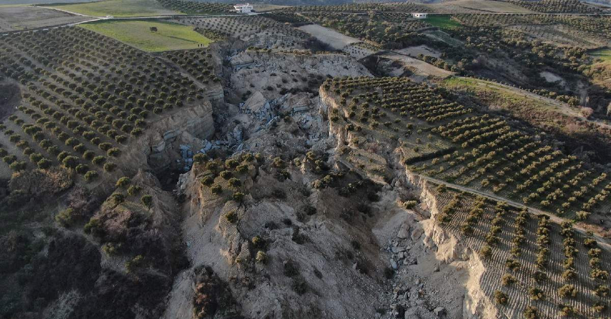Hatay Deprem Zeytin Tarlası
