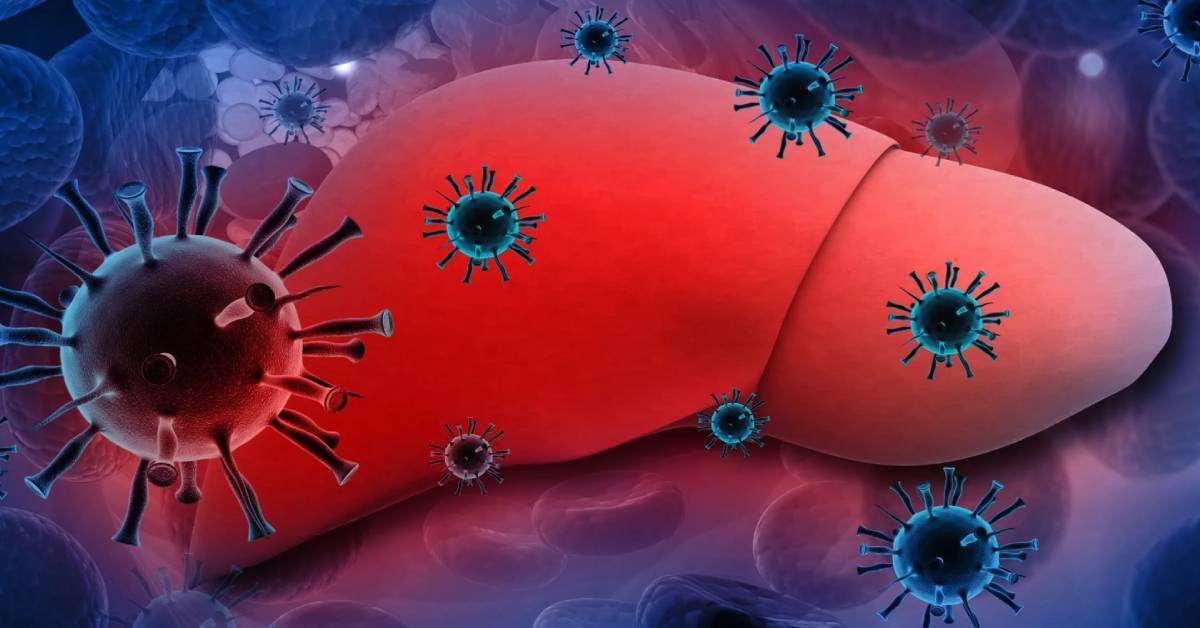 Hepatit A Aşısı Hepatit A Aşısı
