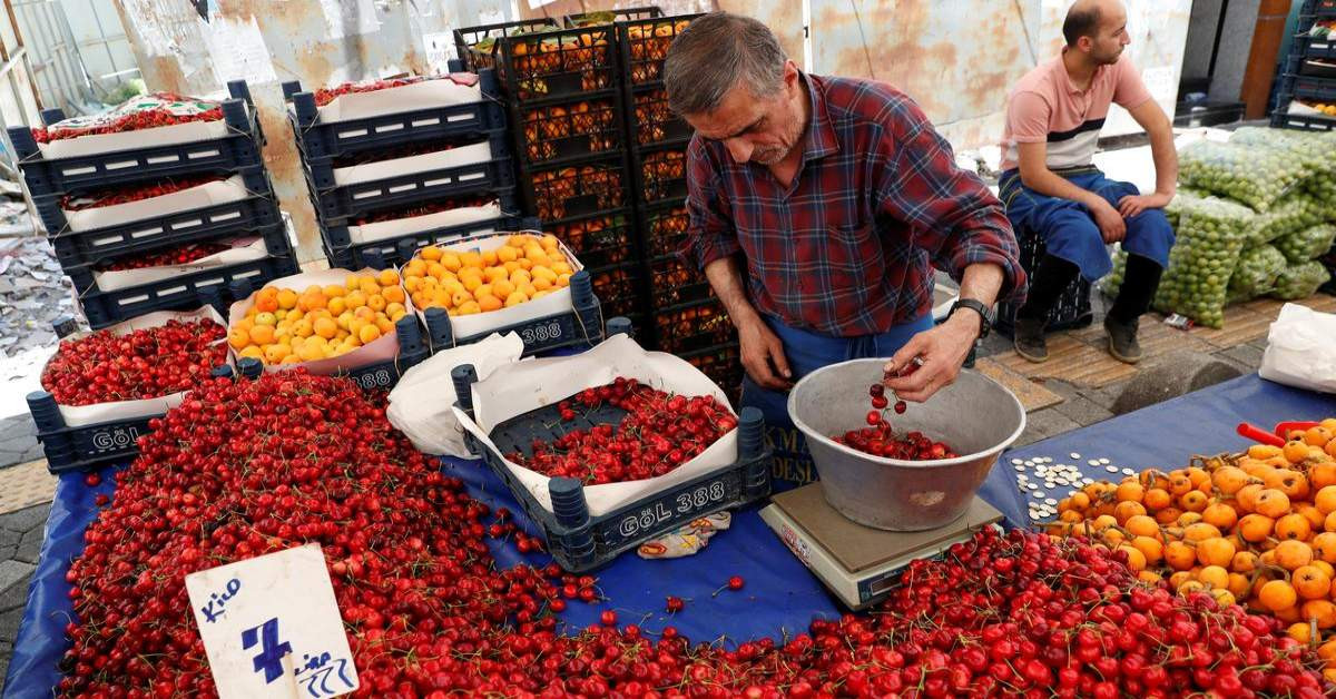IMF Türkiye Ekonomik Büyüme-2 IMF Türkiye Ekonomik Büyüme-2