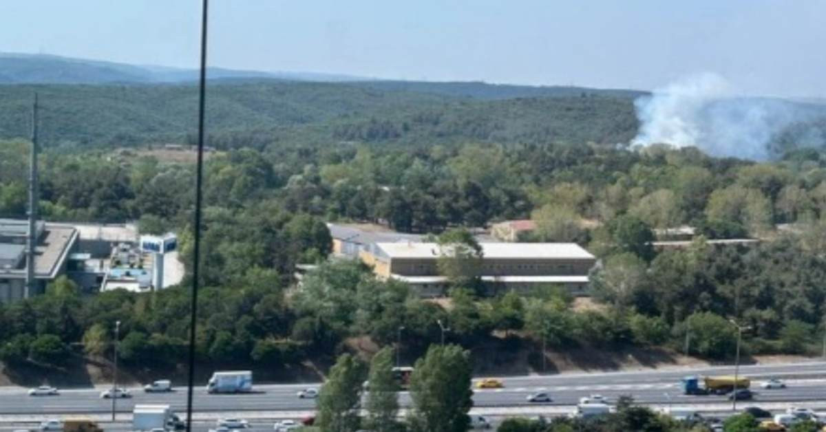 İstanbul Kemerburgaz Ormanı Yangını