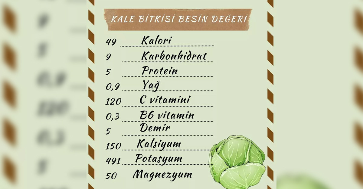 Kala bitkisinin besin değerleri
