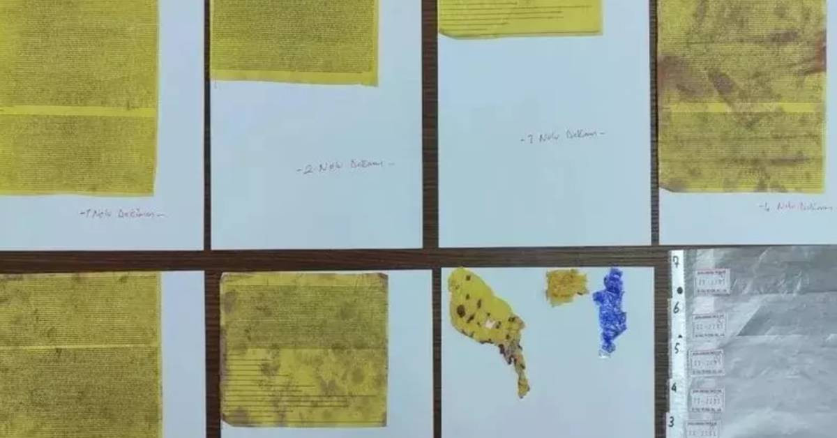 Kandil talimatlarını ileten avukat yakalandı: 16 sayfalık eylem talimatı ortaya çıktı Kandil talimatlarını ileten avukat yakalandı: 16 sayfalık eylem talimatı ortaya çıktı