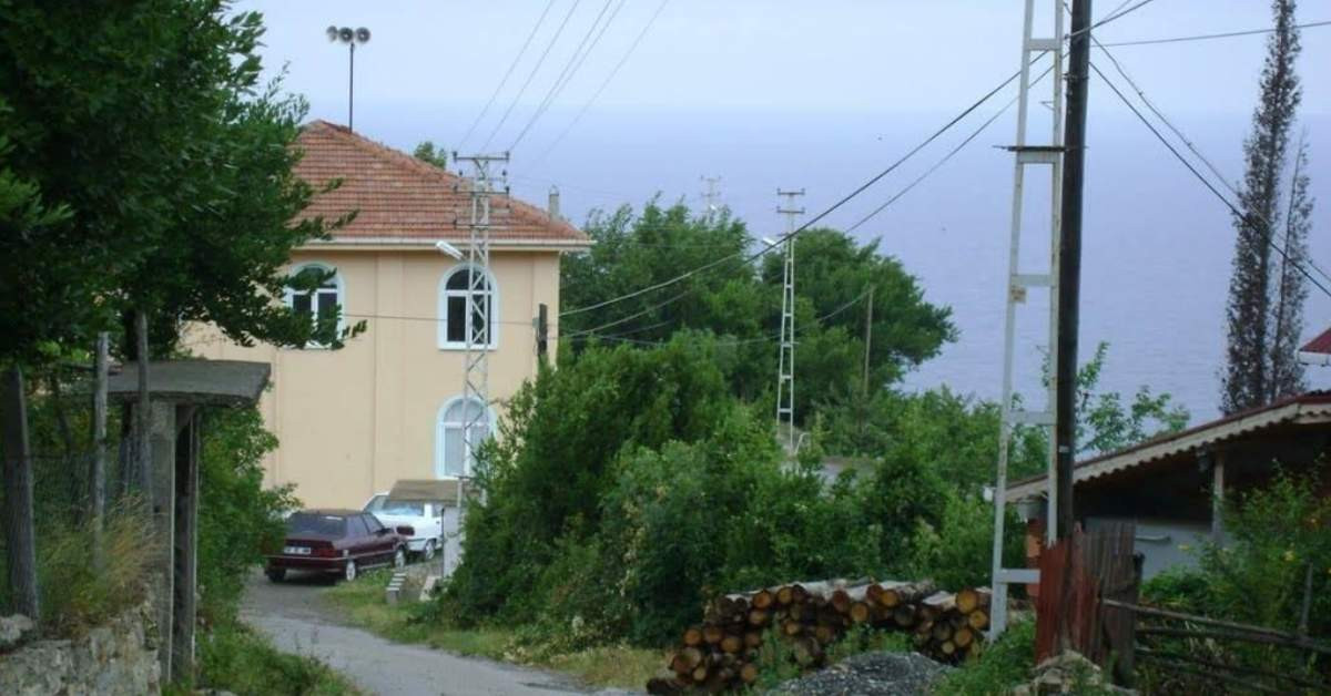 Kastamonu Şap Hastalığı