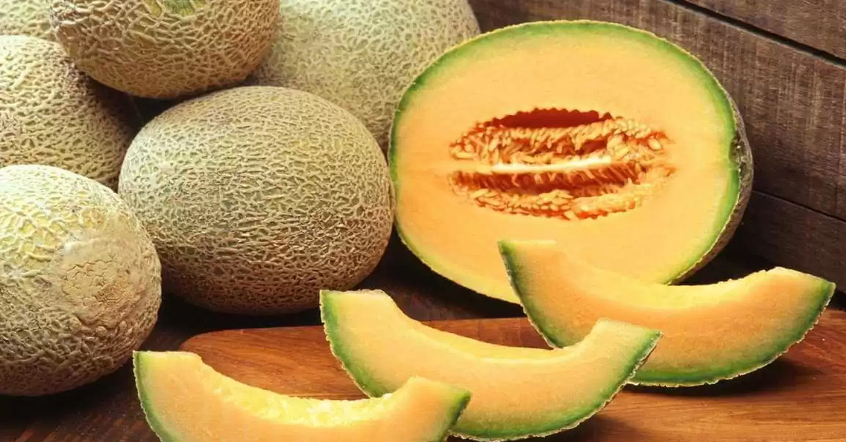 kavun kavun