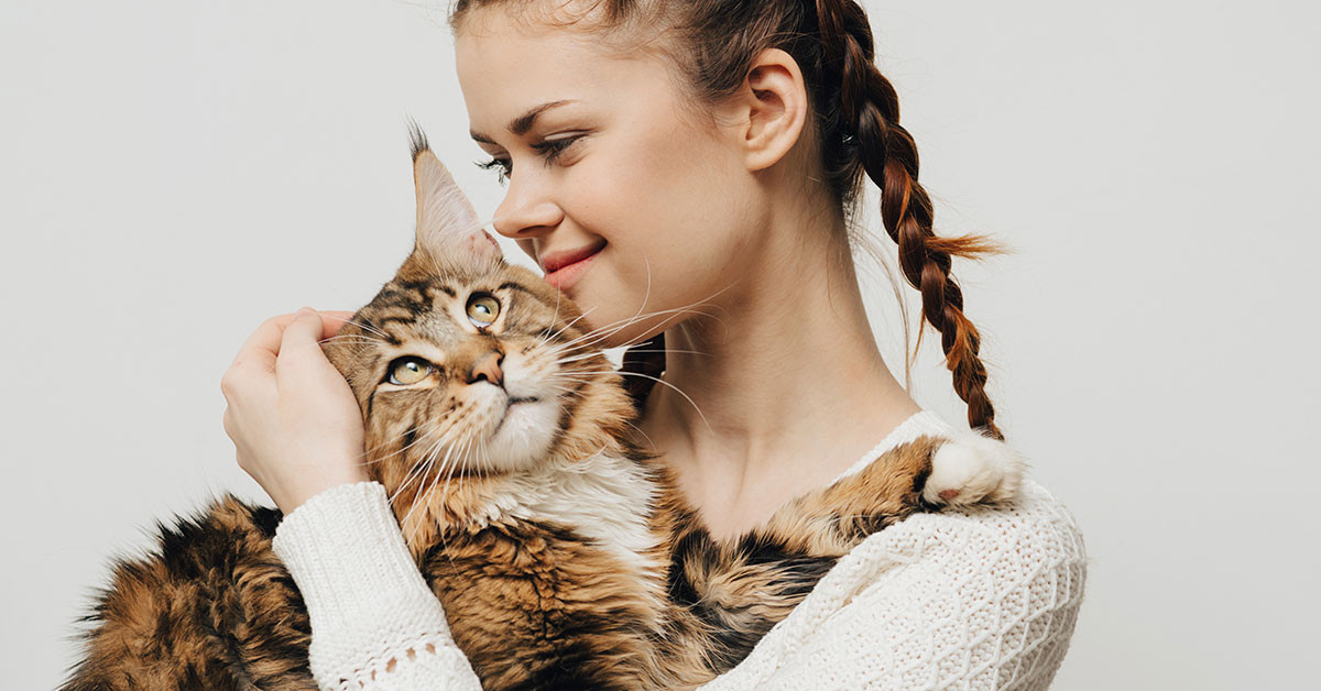 kedi ve insan etkisi kedi ve insan etkisi