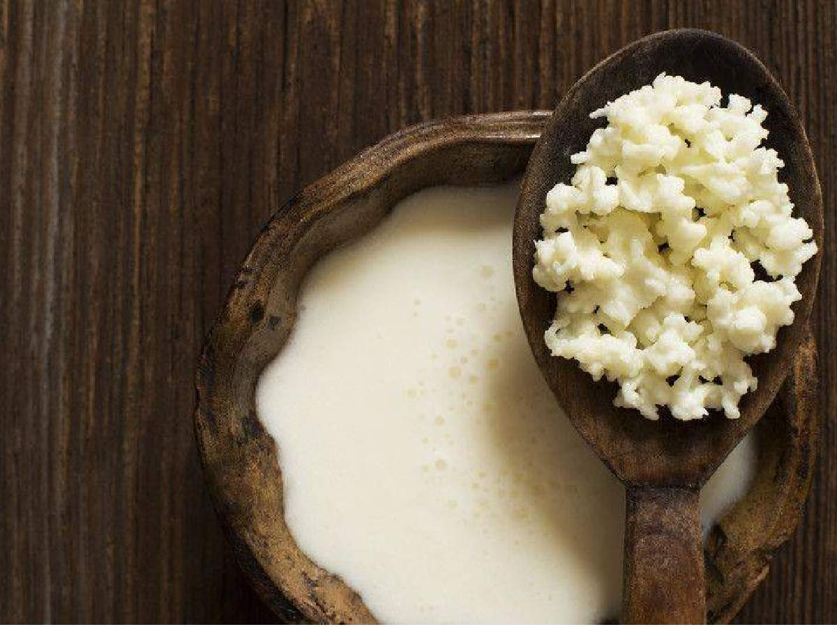 kefir faydaları