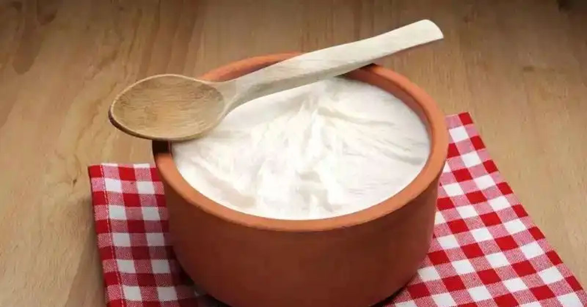 Kişniş yoğurt karışımının faydaları