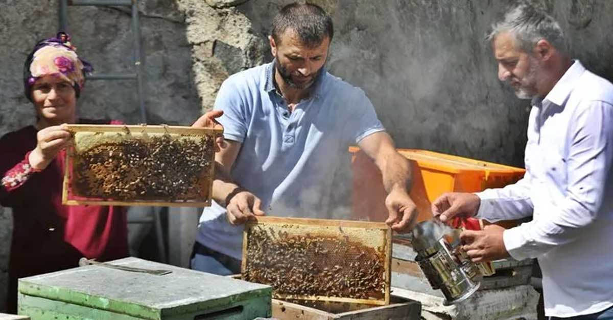 Kooperatif sayısı arttı