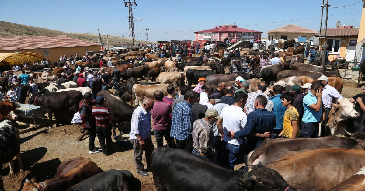Kurban satışı yapacaklar dikkat: Kurban kesimi tebliği Resmi Gazete’de yayımlandı
