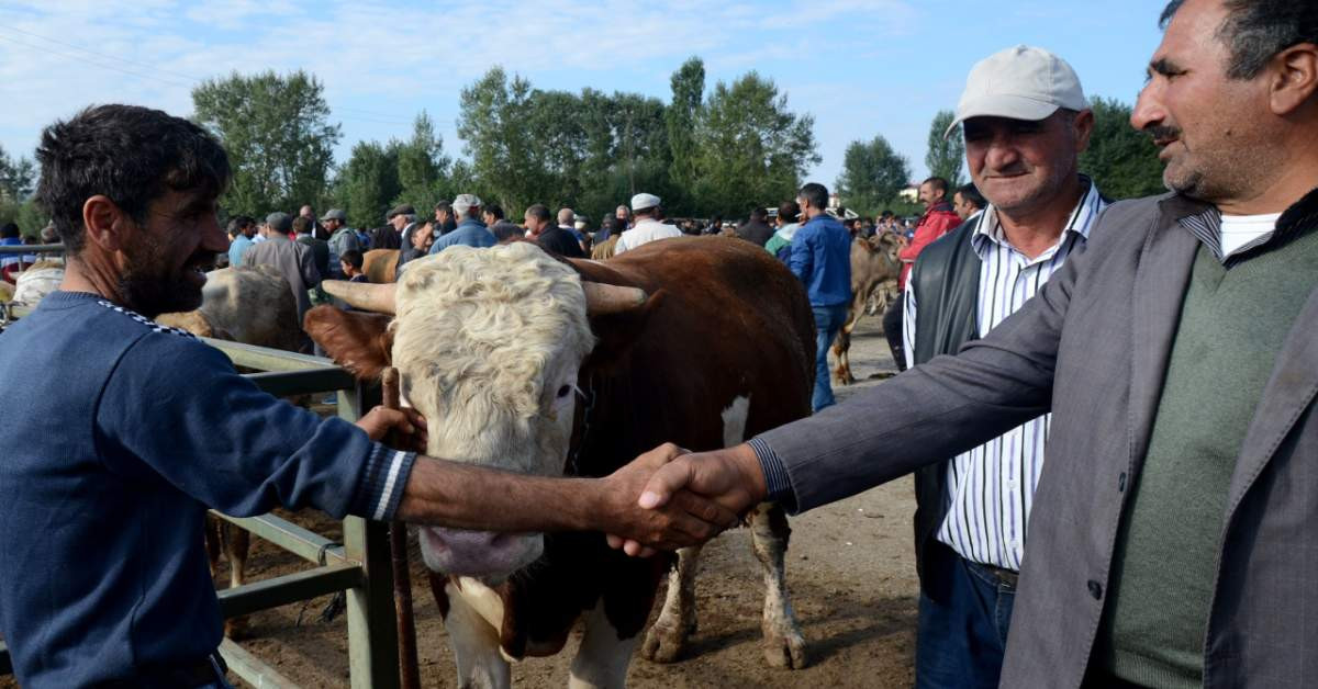 Kurbanlık Satışı