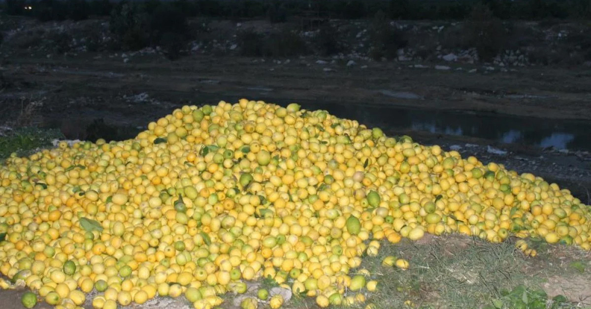 Limon