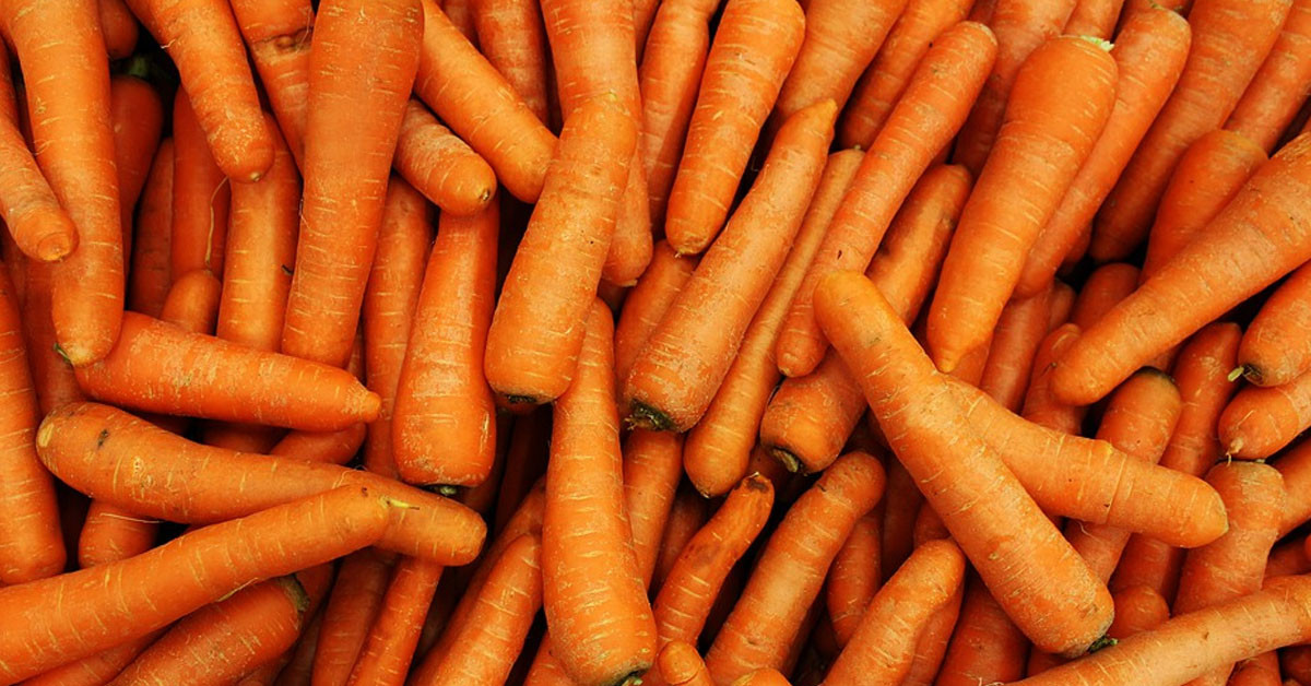 Hangi sebzelerde K vitamini vardır?