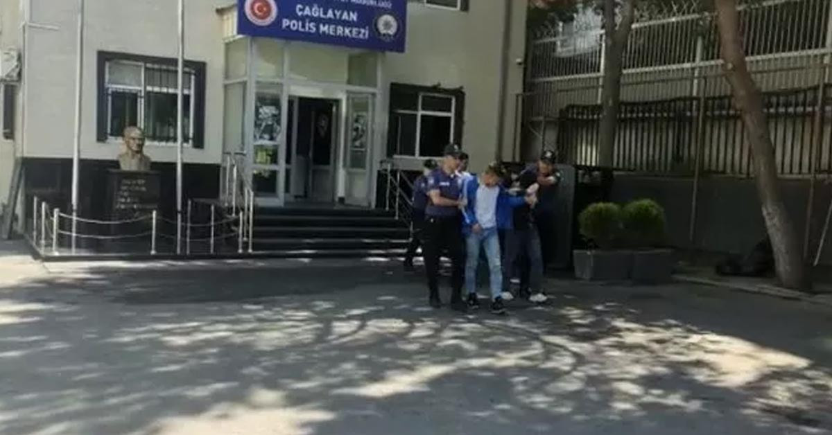 Market aracından bonzai çıktı