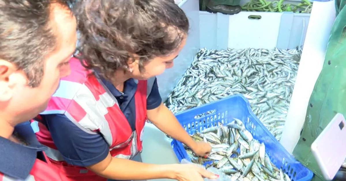 Marmara Denizi balık avlama denetimi