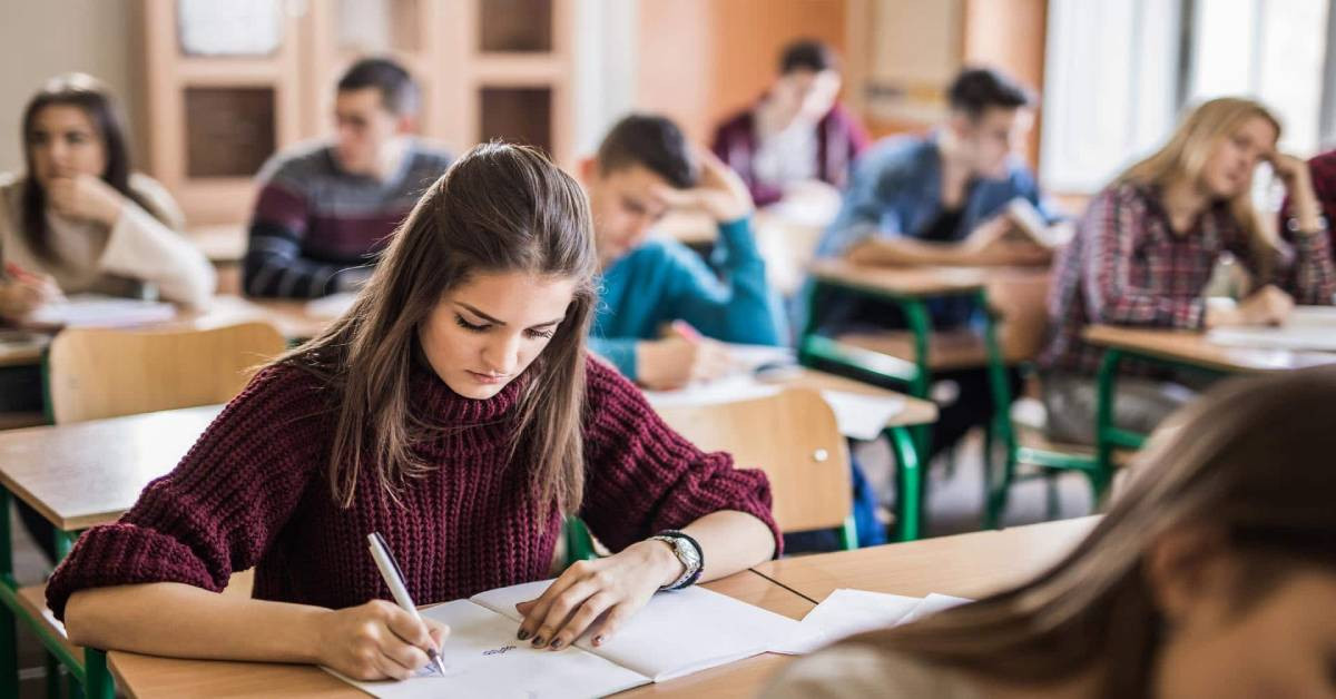 MEB soru dağılımı