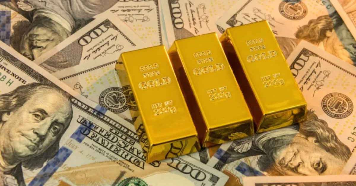 Merkez Bankası Faiz Kararı Aralık