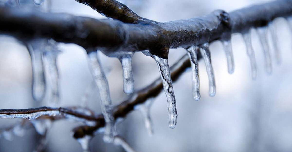 Meteoroloji Son Dakika Meteoroloji Son Dakika
