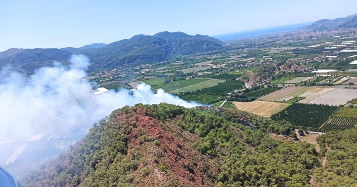 Muğla Yangın
