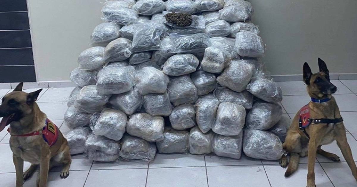 Narkogüç operasyon
