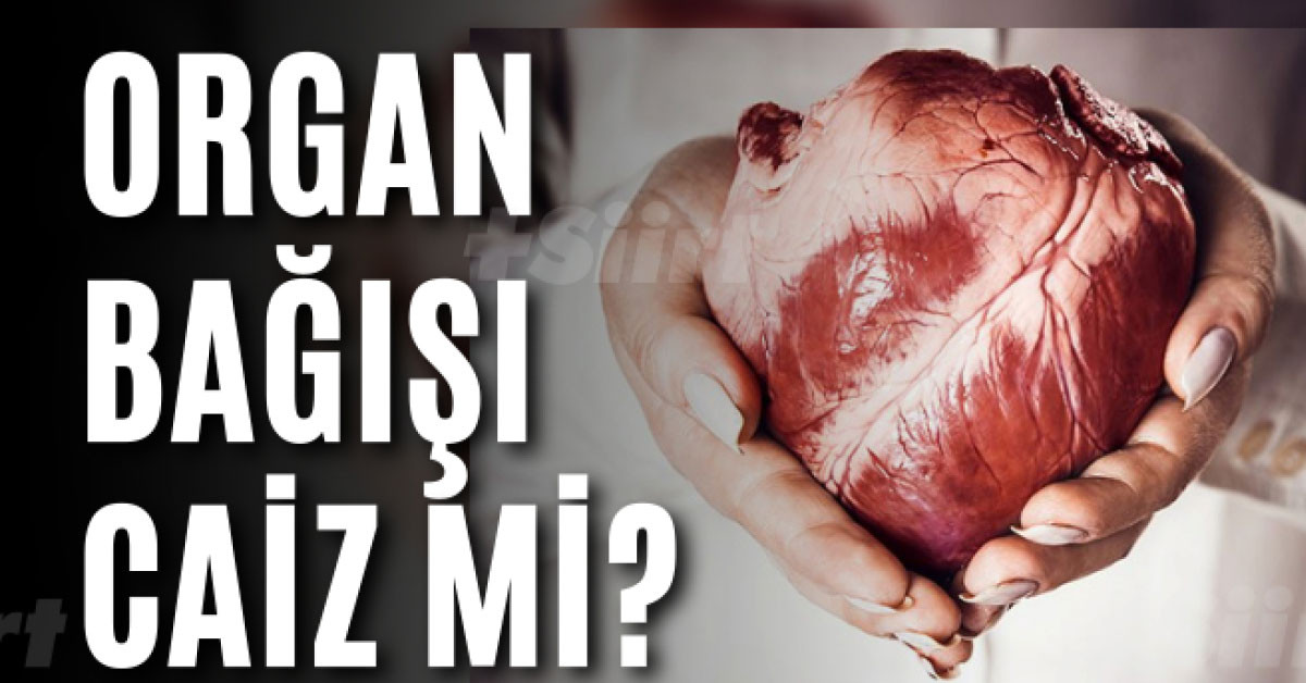 Organ bağışı günah mı Organ bağışı günah mı