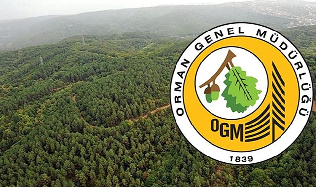 Orman Genel Müdürlüğü’nden müjde duyuruldu! 861 personel alımı için başvuru ekranı açıldı