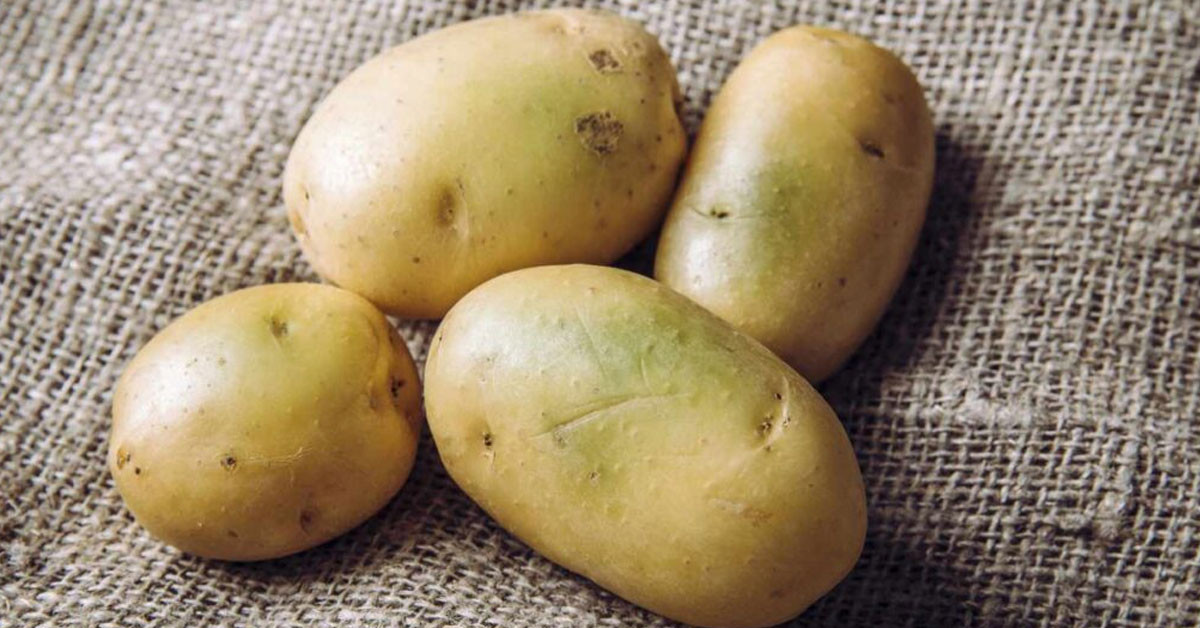 patates