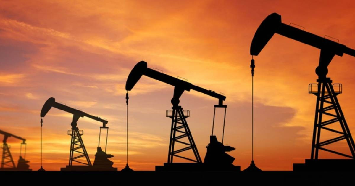 Petrol 28 ay sonra