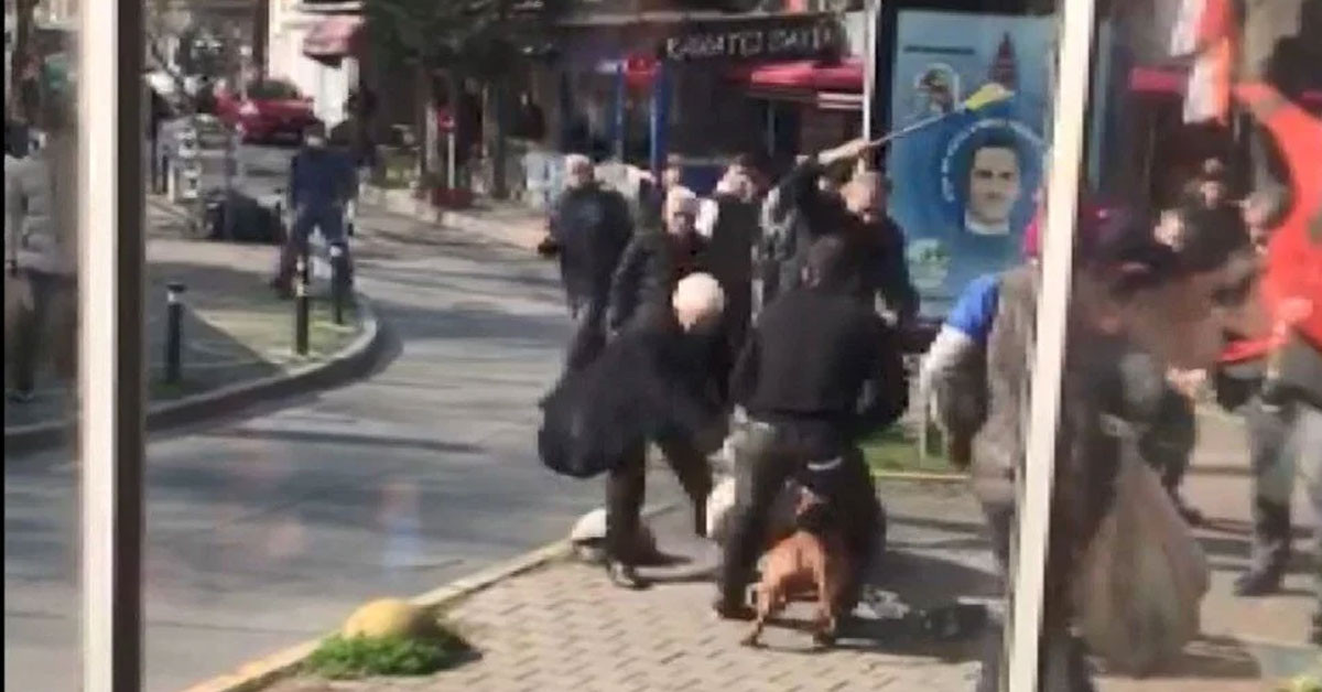 Pitbull cinsi köpeğini yoldan geçen vatandaşa saldırtan şahıs: İstesem silah alır sıkardım!