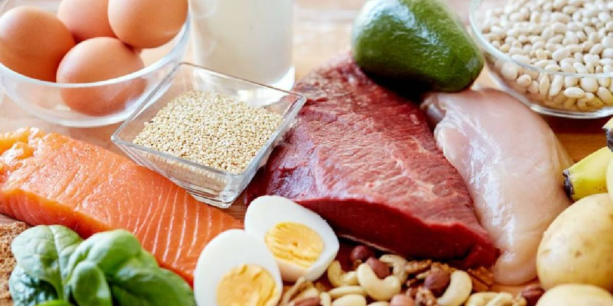 Protein